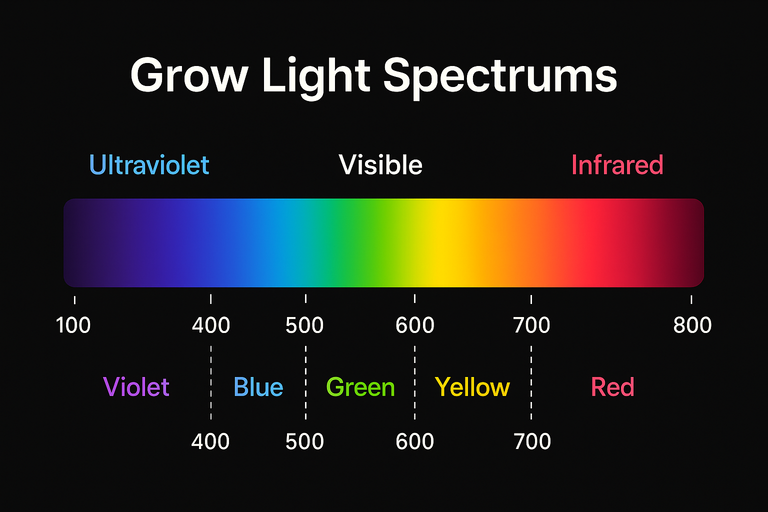 Light Spectrum and Eye Health: Which Wavelengths Are Harmful? Inside and Outside the Growroom