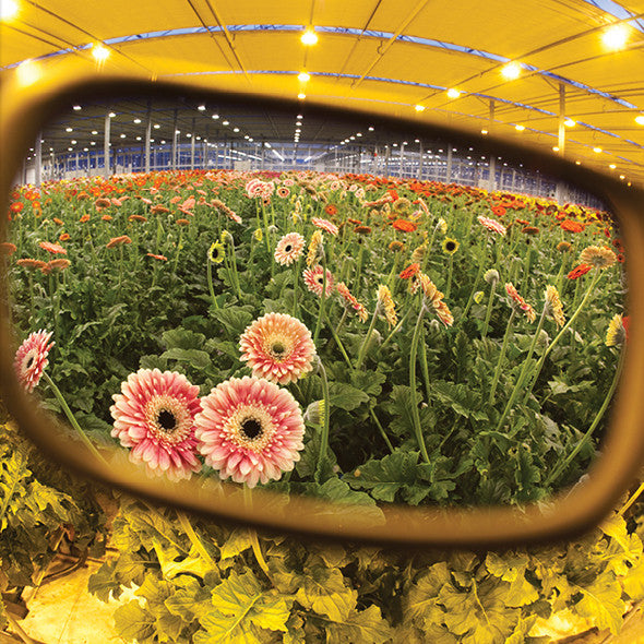 The Science Behind Method Seven Grow Room Glasses: How Our HPS Lens Technology Was Originally Developed