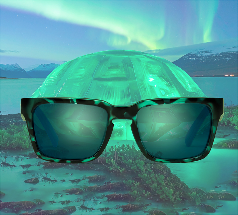 Introducing: Emerald Tortoise. A truly unique frame color collection for the true growers.