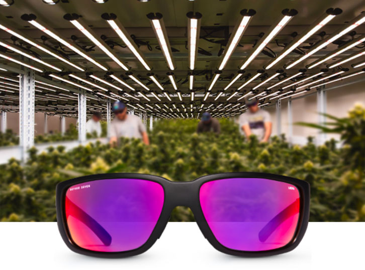 X CMH LEC Grow Room Glasses