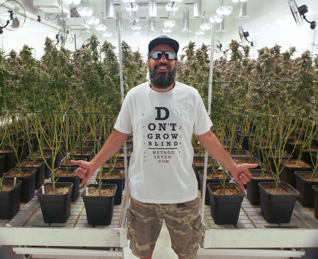 Metal Halide Grow Glasses