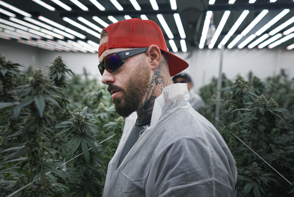 Best Selling Grow Glasses