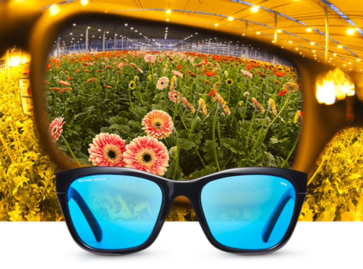 HPS Crystal Grow Glasses