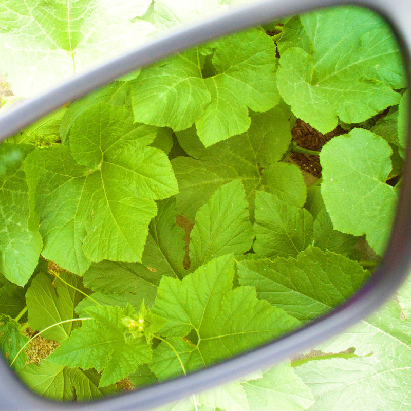 Citadel FX Classic Grow Glasses