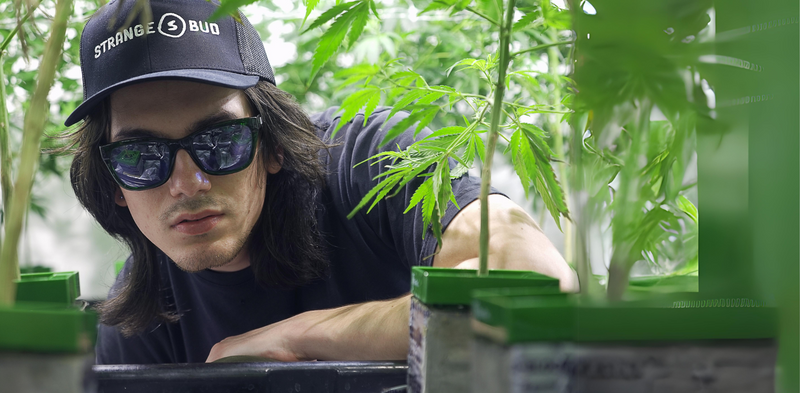 Coup Green HPS Rx | Prescription Grow Sunglasses