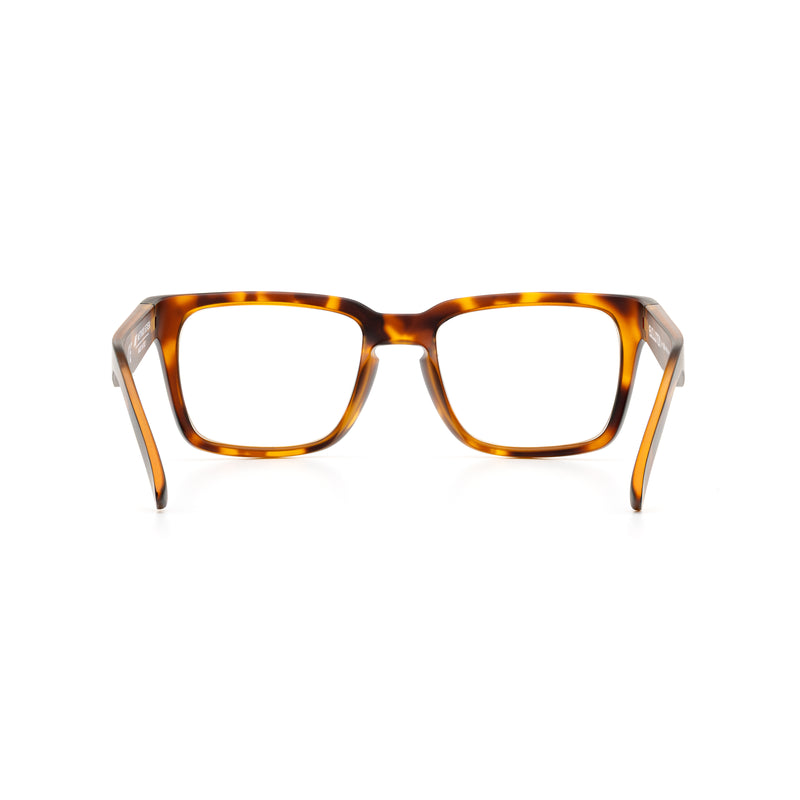Evolution Lucid Rx Tortoise Single Vision | Prescription Glasses