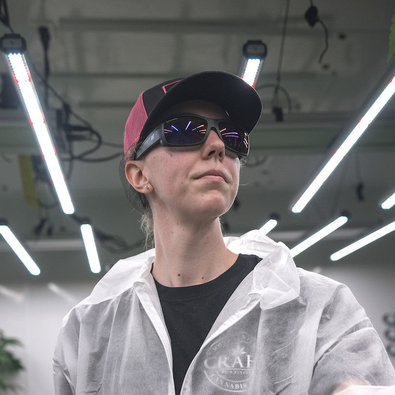 Resistance 2 FX Classic | Grow Glasses